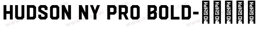 Hudson NY Pro Bold字体转换